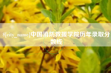 东平中国消防救援学院历年录取分数线