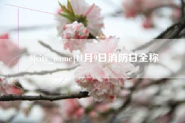 东平11月9日消防日全称