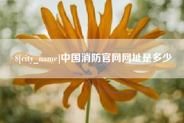 东平中国消防官网网址是多少