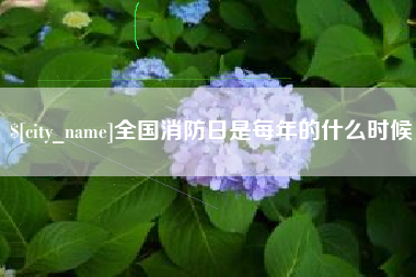东平全国消防日是每年的什么时候