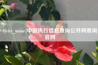 东平中国执行信息查询公开网查询官网
