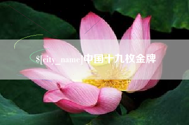 东平中国十九枚金牌