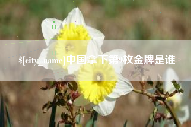 东平中国拿下第9枚金牌是谁
