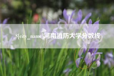东平河南消防大学分数线