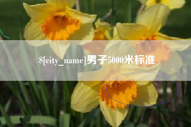 东平男子5000米标准