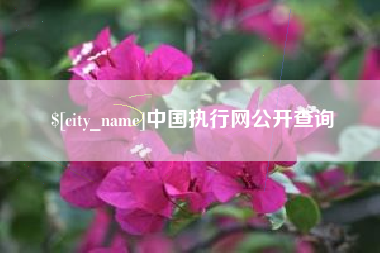 东平中国执行网公开查询
