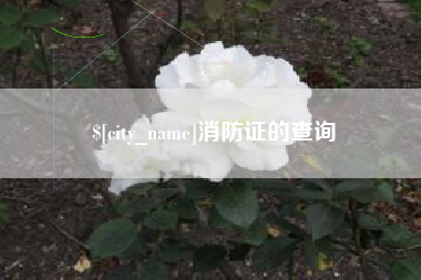 东平消防证的查询