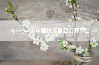 东平中国执行信息公开平台