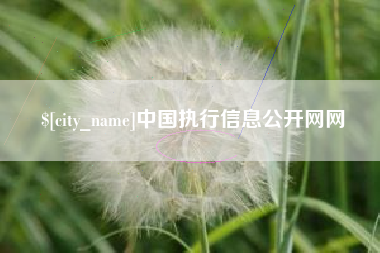 东平中国执行信息公开网网