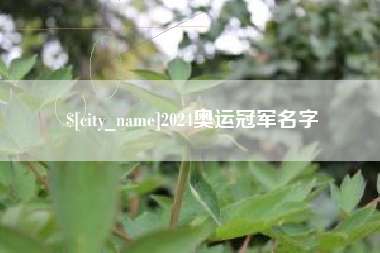 东平2024奥运冠军名字