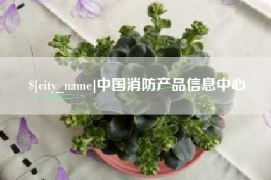 东平中国消防产品信息中心