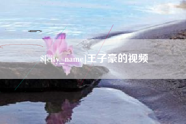 东平王子豪的视频