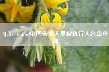 东平中国失信人员被执行人名单查询