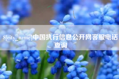 东平中国执行信息公开网客服电话查询