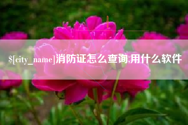东平消防证怎么查询,用什么软件