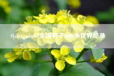 东平全国男子5000米世界纪录