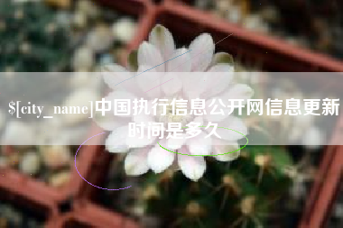 东平中国执行信息公开网信息更新时间是多久