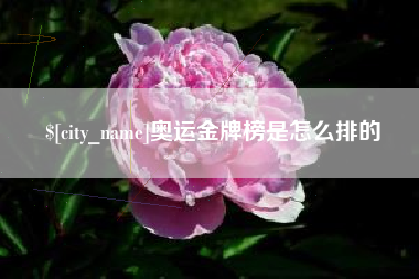 东平奥运金牌榜是怎么排的