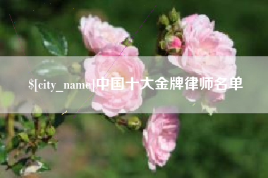 东平中国十大金牌律师名单