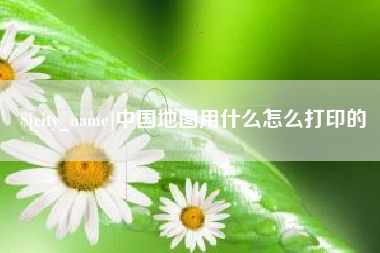 东平中国地图用什么怎么打印的