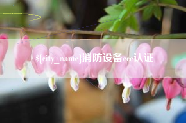 东平消防设备ccc认证