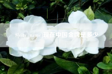 东平现在中国金牌是多少