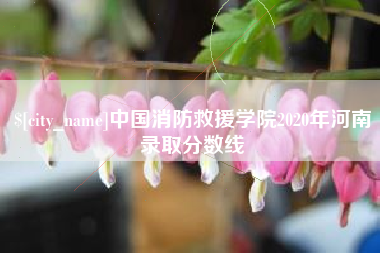 东平中国消防救援学院2020年河南录取分数线