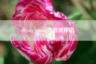 东平九宫排除法