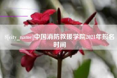 东平中国消防救援学院2021年报名时间