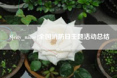 东平全国消防日主题活动总结