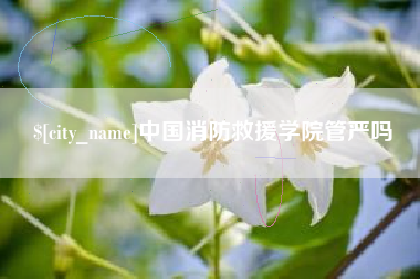 东平中国消防救援学院管严吗