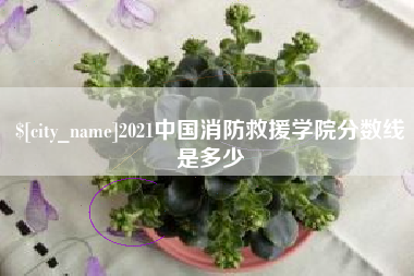东平2021中国消防救援学院分数线是多少