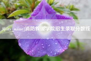 东平消防救援学院招生录取分数线