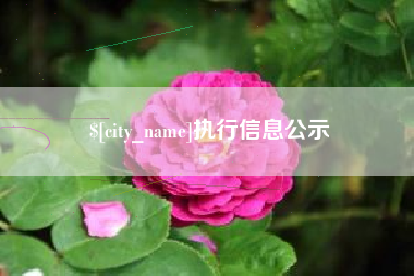 东平执行信息公示