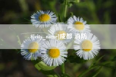 东平成都 消防