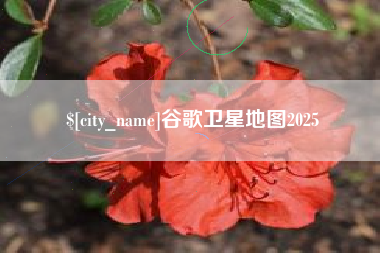 东平谷歌卫星地图2025