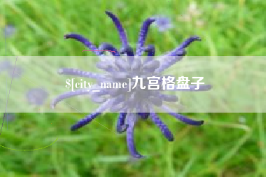 东平九宫格盘子