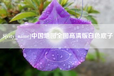 东平中国地图全图高清版白色底子