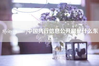 东平中国执行信息公开网是什么东西