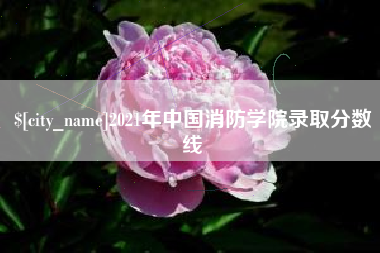 东平2021年中国消防学院录取分数线