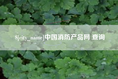 东平中国消防产品网 查询