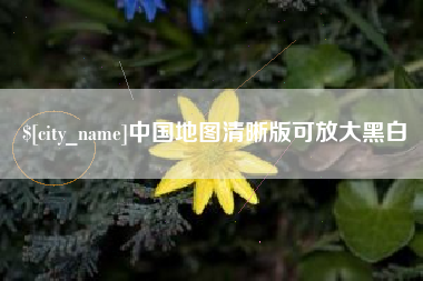 东平中国地图清晰版可放大黑白