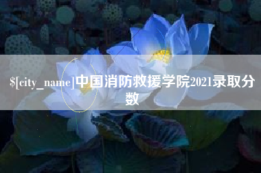 东平中国消防救援学院2021录取分数