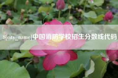 东平中国消防学校招生分数线代码