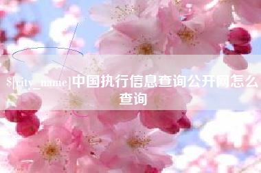 东平中国执行信息查询公开网怎么查询