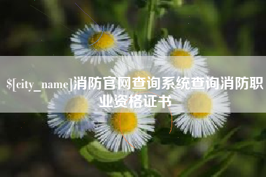东平消防官网查询系统查询消防职业资格证书