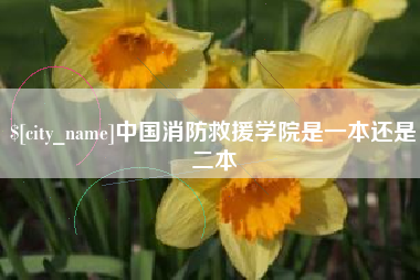 东平中国消防救援学院是一本还是二本