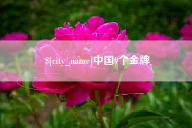 东平中国9个金牌