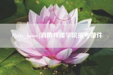 东平消防救援学院报考条件