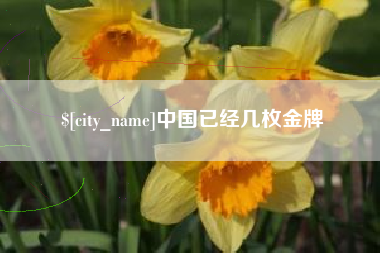 东平中国已经几枚金牌